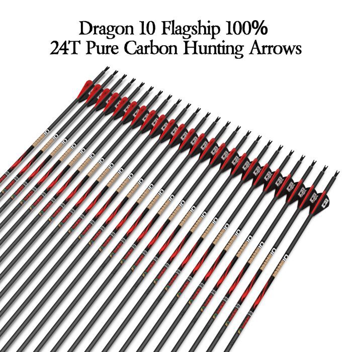Dragon 10 Carbon Arrows