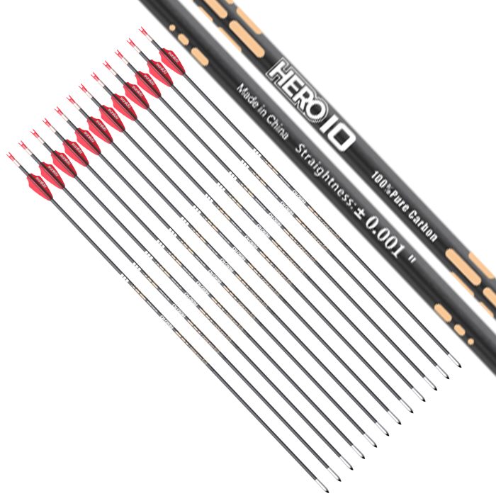 Hero 10 Carbon Arrows